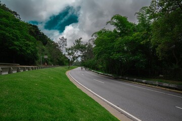 A person walking down a road with a stop sign