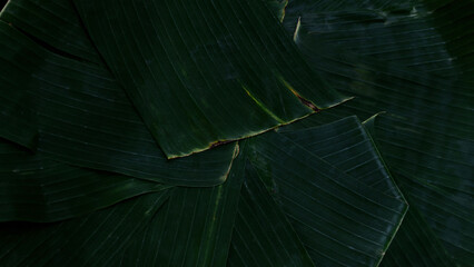 Banana leaves nature background overlapping. Rural pattern wrapping or placing local tropical snacks