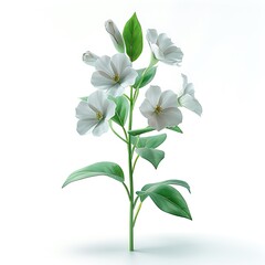 Obraz premium Artistic White Flower Stem With Green Leaves on a Clean White Background