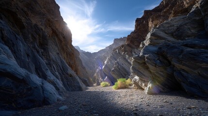 Sunlit Canyon Landscape With Dark Rocks