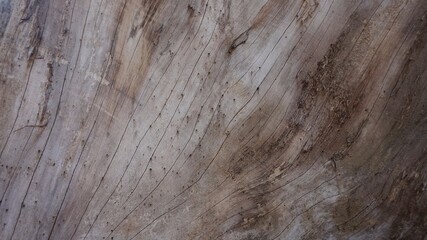 wood texture background