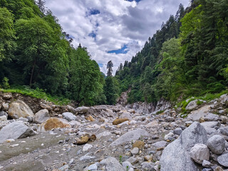 Rocky Riverbed in Forest Valley Under Cloudy Sky