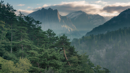 A scenic view of mountains and a valley filled with trees under a cloudy sky, showcasing natural beauty