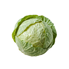 Isolated vibrant green cabbage showcasing its intricate leaf texture details