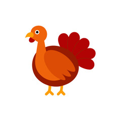 turkey-on-white-background--.
