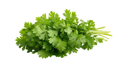 Obraz premium Parsley leaf cluster with natural texture background isolated on a Transparent background, PNG file.