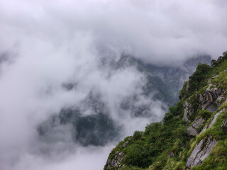 Misty Mountain Hillside with Dramatic Sky and Lush Terrain