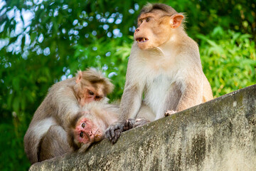 mother and baby