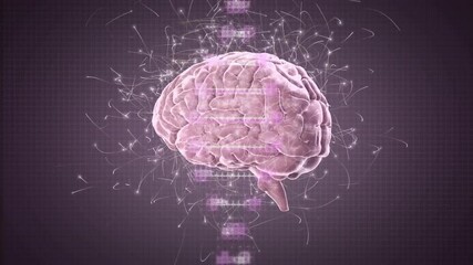 Brain model appearing triggers DNA helix forming, rotating as lines flickering showing connections - Powered by Adobe
