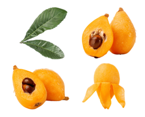 loquat fruit composition on transparent background