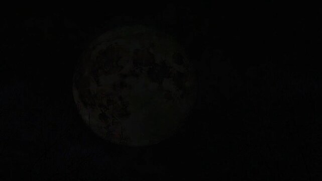 The luminous moon glows against the black sky, a celestial sphere in the dark expanse, a natural night scene.