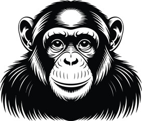 Chimpanzee face black white illustration primate animal