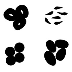 dried fruit -  Healthy and Organic Foods - solid fill