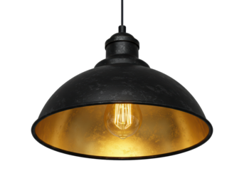 Isolated Industrial Black and Gold Pendant Light