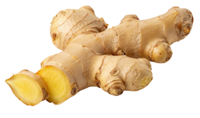 Fresh organic ginger root on white background aromatic and healthy spice for culinary and herbal use