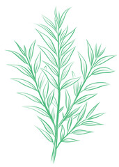 Green leafy herbal branch vector illustration