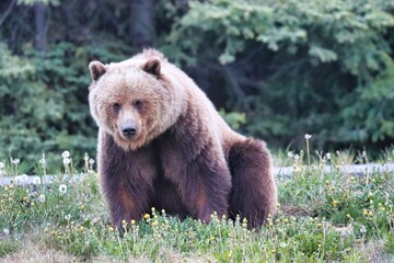 Yukon Territories, Canada