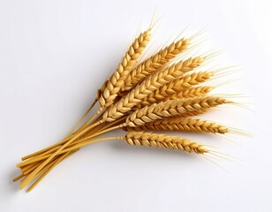 Wheat