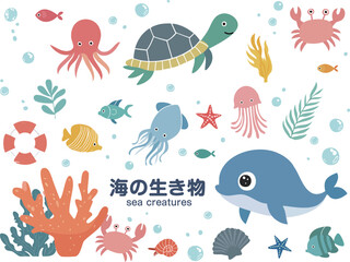 海の生き物