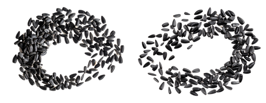 Sunflower Seeds in Curved Flying Pattern Transparent Background PNG