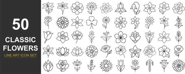 50 Elegant Line Art Vector Icons of Popular Flowers – Minimal Botanical Set Featuring Roses, Tulips, Sunflowers, and More for Branding and Design Use