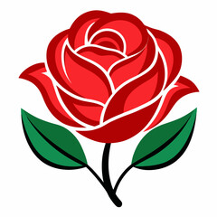 red rose vector