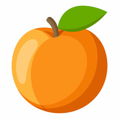 vector illustration of an orange fruit Peach