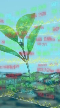 Animation of financial data processing over money and plant on blue background