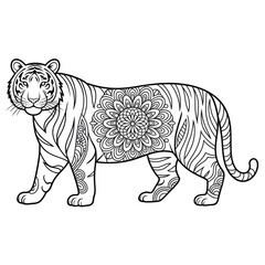 Fototapeta premium Tiger illustration vector coloring page 