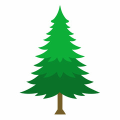 christmas tree isolated on white