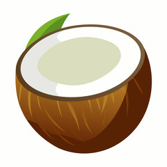 vector illustration of coconut