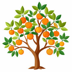 orange tree with fruits
