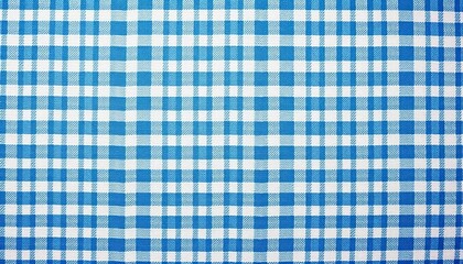 Intricate blue and white gingham check, crisp weave, weave, style