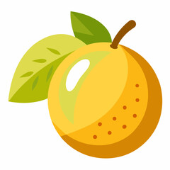 vector illustration of an orange fruit