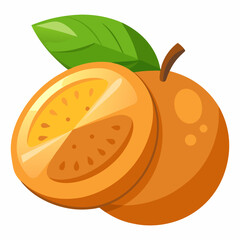vector illustration of an orange