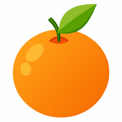 vector illustration of an orange
