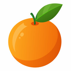 orange fruit vector illustration