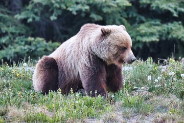 Yukon Territories, Canada