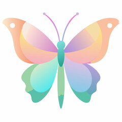 butterfly vector illustration