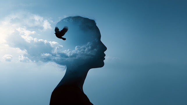 The concept of 'headspace' as a clear, open sky.	A surreal, conceptual image where a person's head is silhouetted, and inside their head is not a brain, but a clear, calm, blue sky with a single bird 