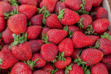 Strawberry background. Strawberries with leaves. Red fruit background. Fresh berries on the market, top view.