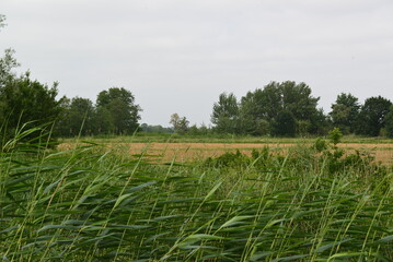 T&ouml;nnhausen_0032