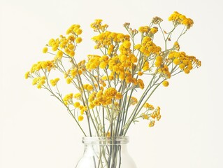 Obraz premium Minimalist Clear Glass Vase with Yellow Wildflowers and Burgundy Clover on White Still Life 