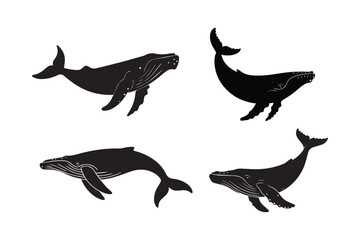 Fototapeta premium Humpback Whale Silhouette Vector Set