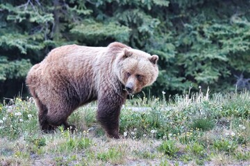 Yukon Territories, Canada