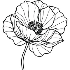 poppy flower outline illustration design
