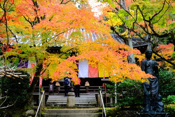 京都、紅葉、佛寺、寺院、文化財、木造建築、古代建築、日本文化、歷史名勝、古都京都の文化財、木、綠色、青空、秋、絶景、写真素材	
