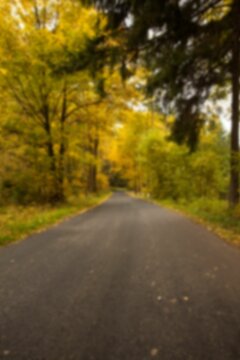 Fototapeta Empty road amidst trees during autumn
