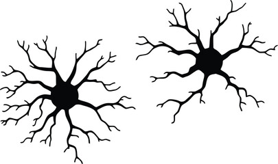 Neuron Silhouette Illustration Featuring Dual Neural Structures with Branching Dendrites in Minimalist Black Line Art