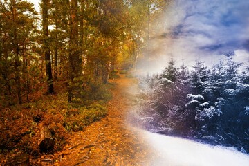 Fototapeta premium Autumn changing to winter